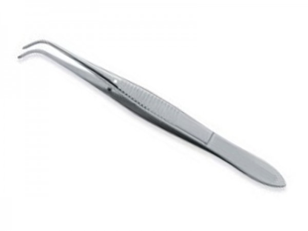 Iris tissue Iris tissue