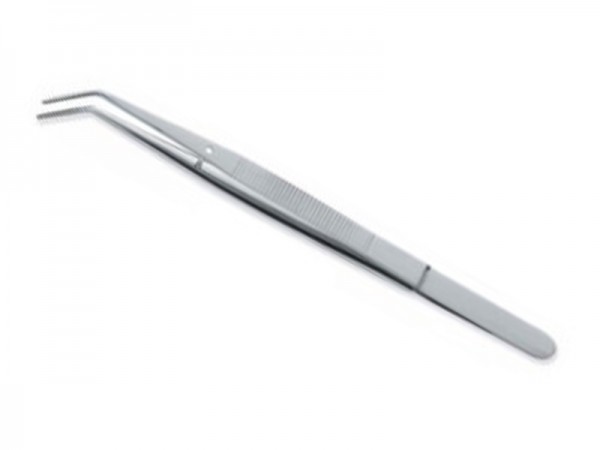 college tissue college tissue