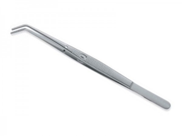 endodontic tissue endodontic tissue