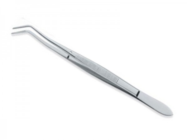 miriam tissue miriam tissue