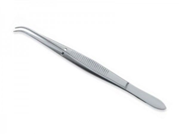 perry tissue perry tissue